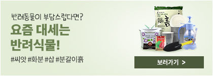 반려식물기획전